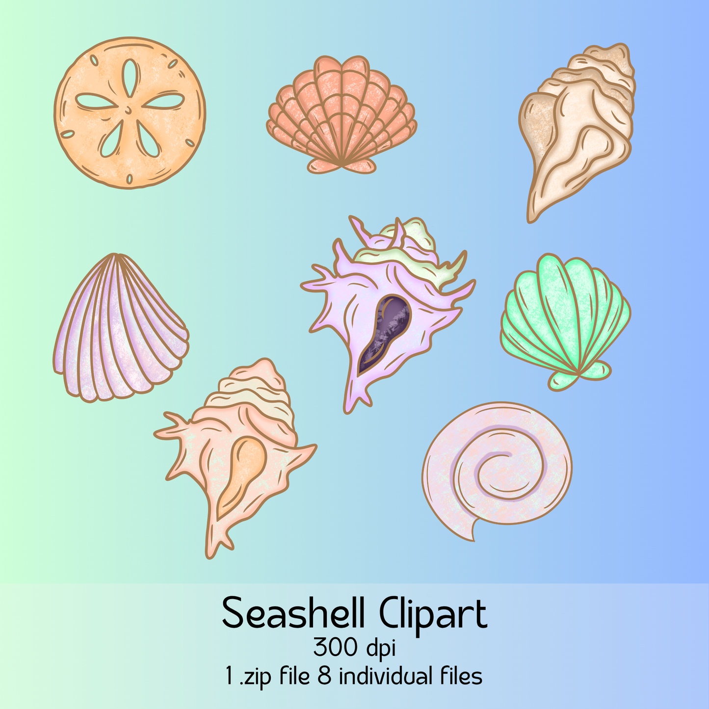 Seashell Clipart